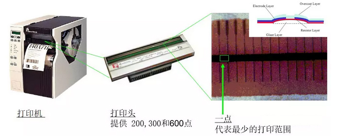 斑馬打印頭那些事-東莞立象條碼